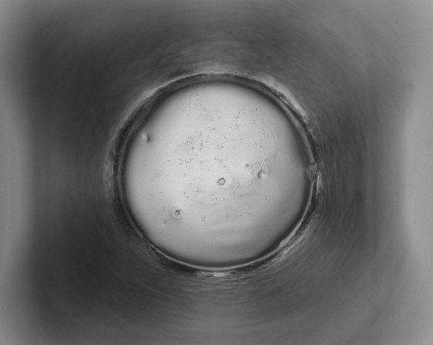 X0000102291263200808081515