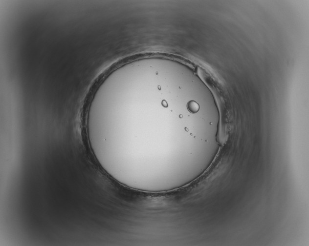 X0000102291264200808081515