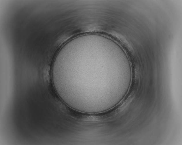 X0000102291265200808081515