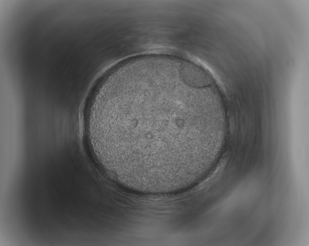 X0000102291267200808081515