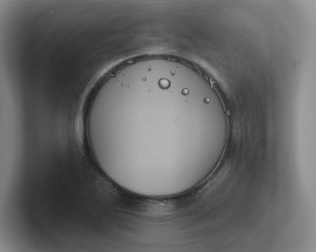 X0000102291270200808081515