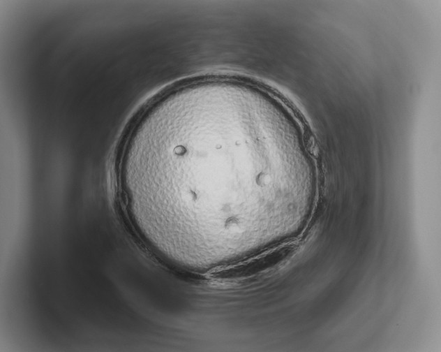 X0000102291271200808081515