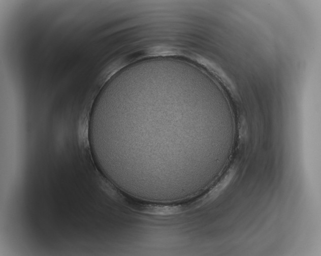 X0000102291273200808081515