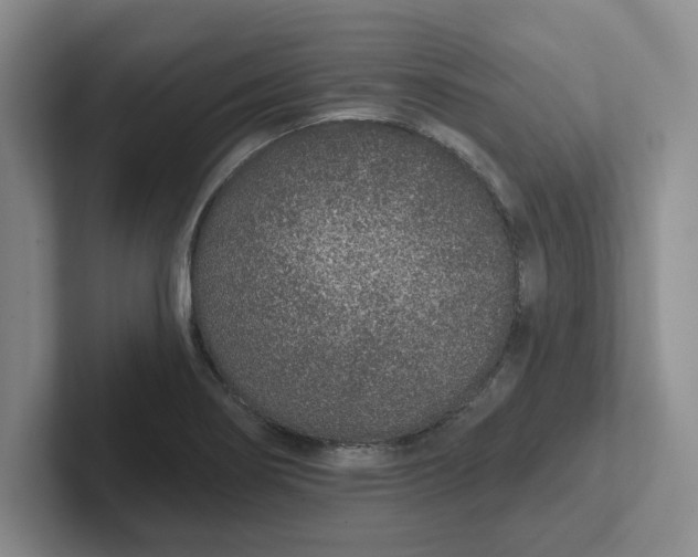 X0000102291274200808081515