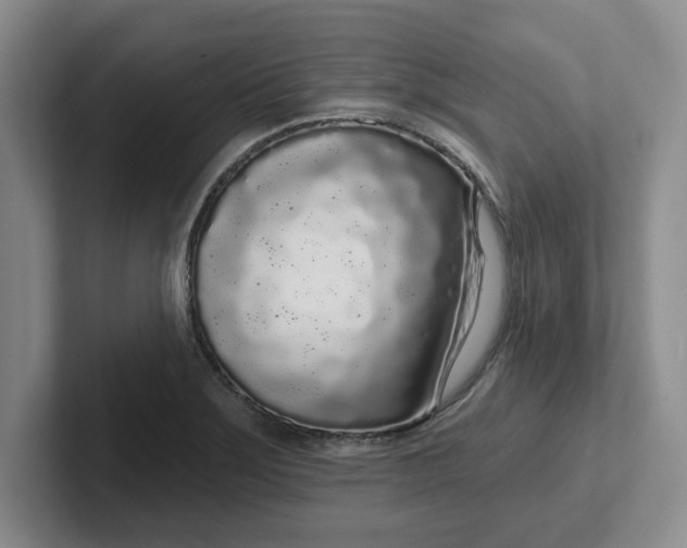 X0000102291275200808081515