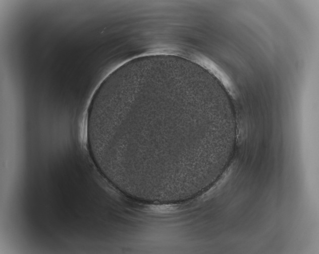 X0000102291276200808081515