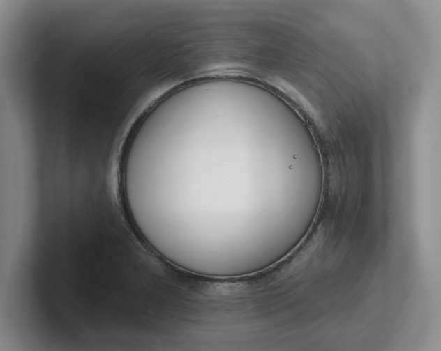 X0000102291277200808081515