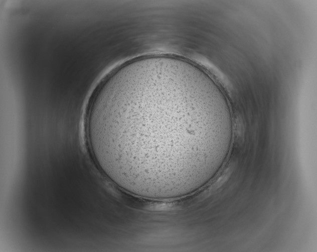 X0000102291278200808081515