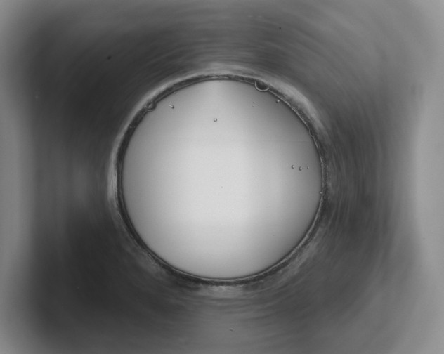 X0000102291280200808081515