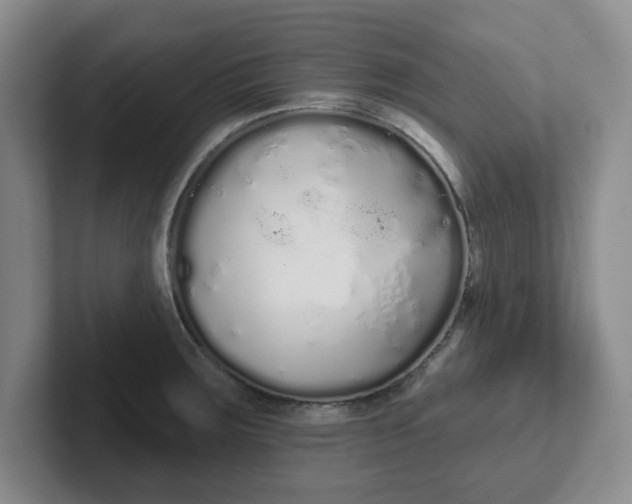 X0000102291283200808081515