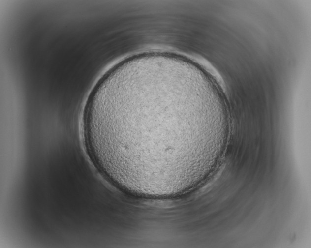 X0000102291287200808081515