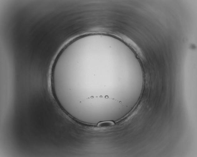 X0000102291288200808081515