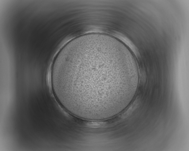 X0000102291290200808081515