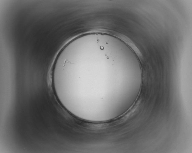 X0000102291292200808081515