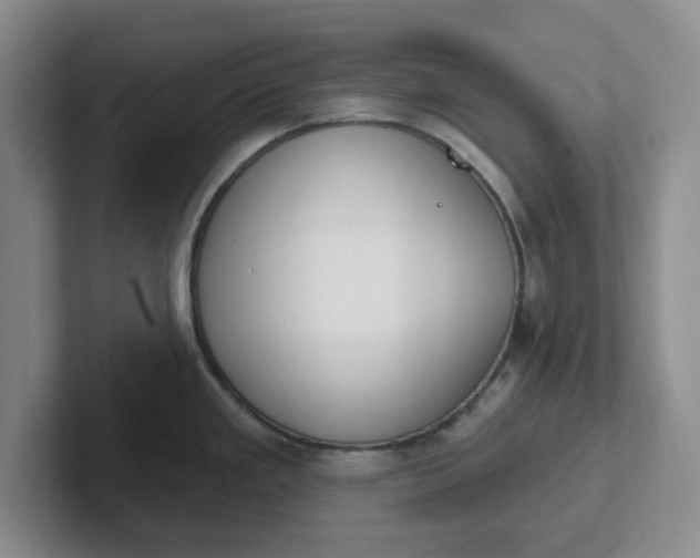 X0000102291293200808081515