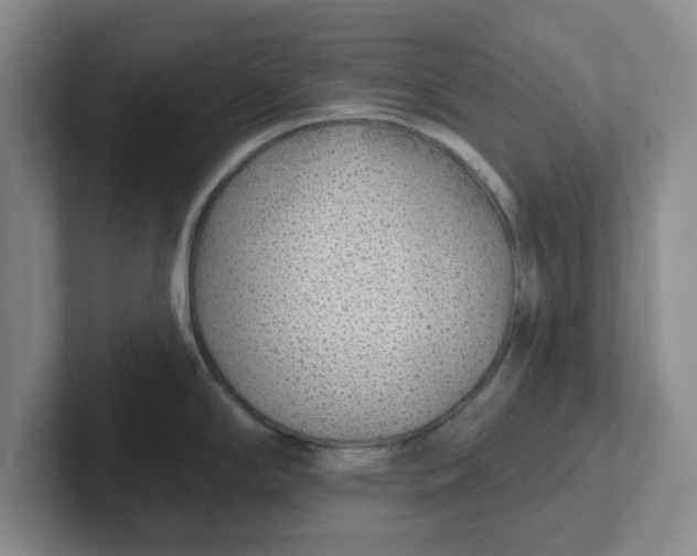 X0000102291294200808081515