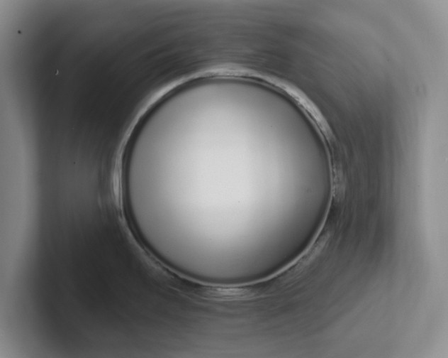 X0000102291295200808081515