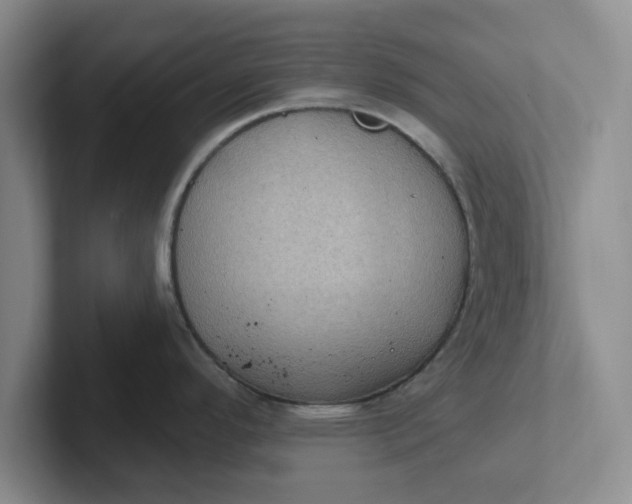 X0000102291296200808081515