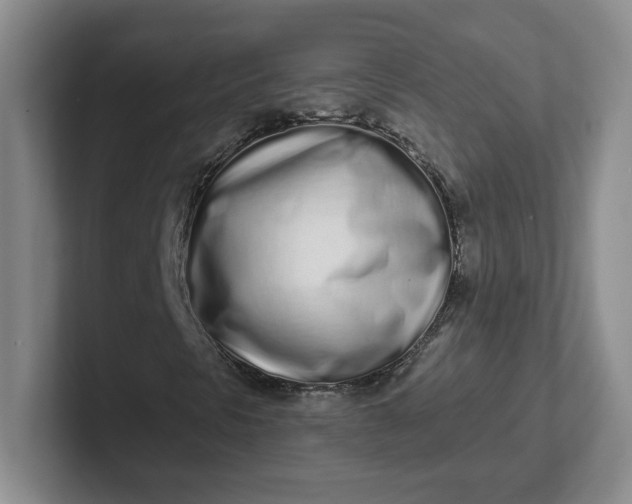 X0000102291297200808081514