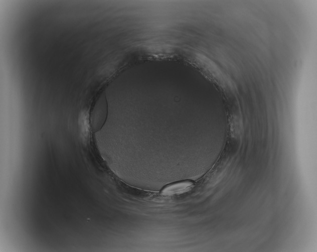 X0000102291298200808081514