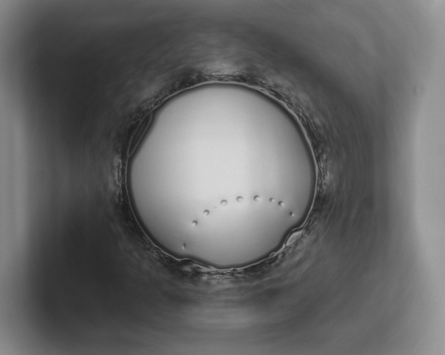 X0000102291301200808081514