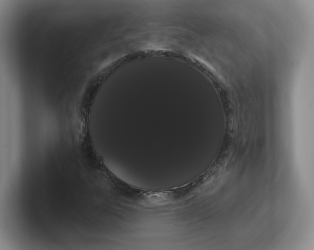 X0000102291303200808081514