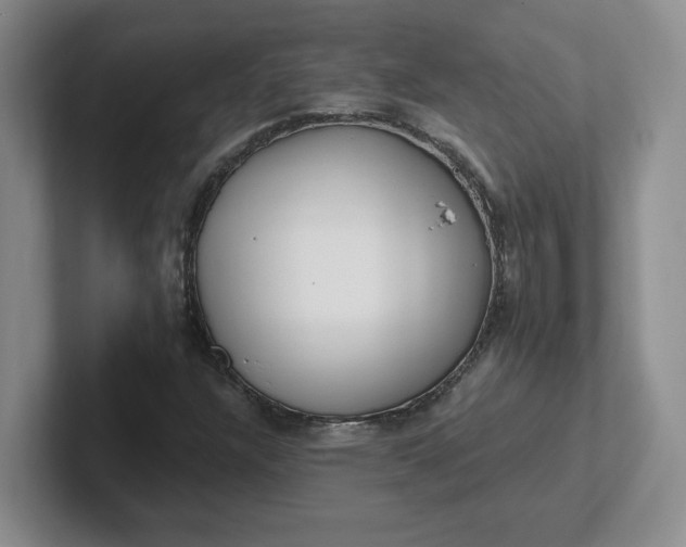 X0000102291304200808081514