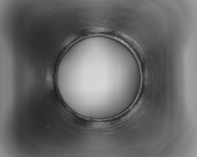 X0000102291305200808081514