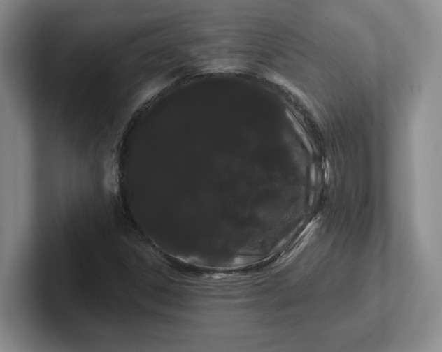 X0000102291306200808081514