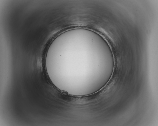 X0000102291307200808081514