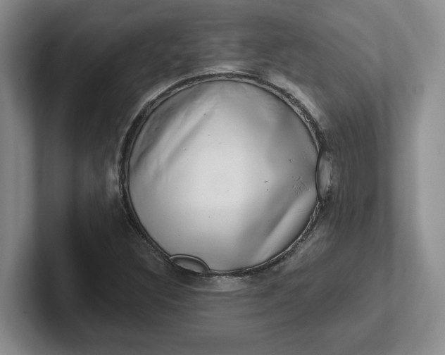 X0000102291308200808081514