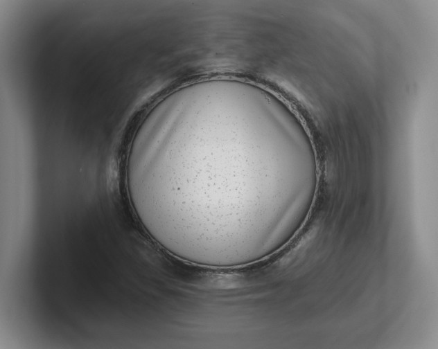 X0000102291309200808081514