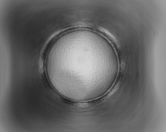 X0000102291310200808081514