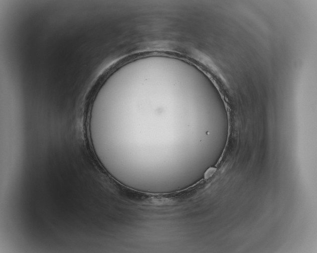 X0000102291312200808081515