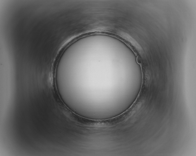 X0000102291316200808081515