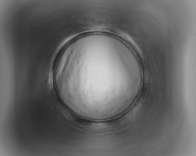 X0000102291320200808081515