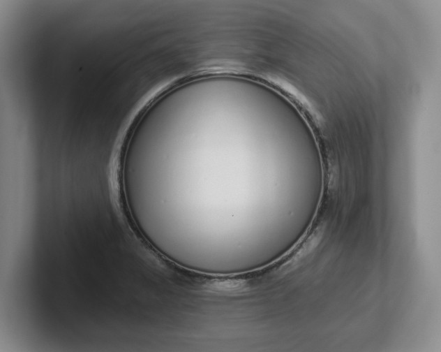 X0000102291325200808081515