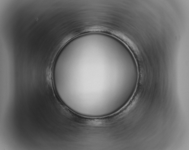 X0000102291329200808081515