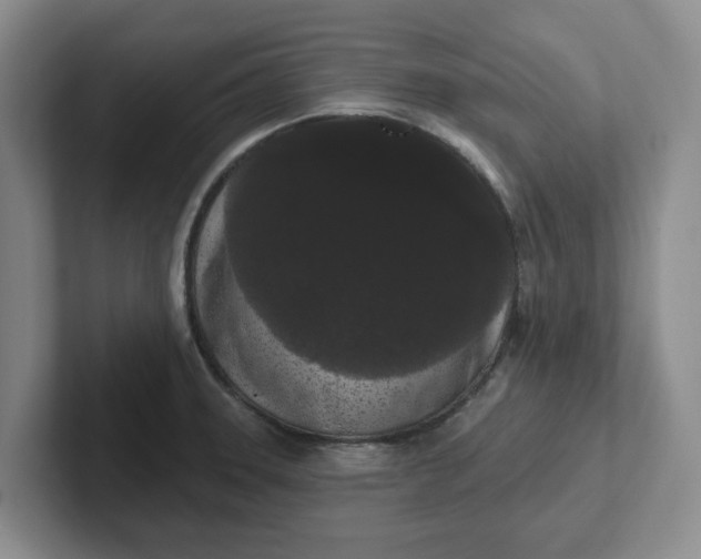 X0000102291331200808081515