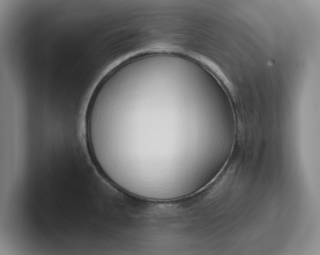 X0000102291335200808081515