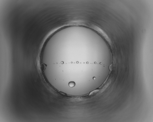 X0000102291336200808081515