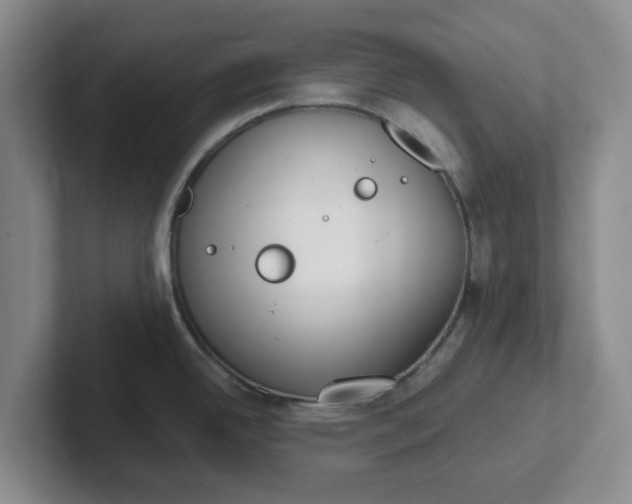 X0000102291342200808081515