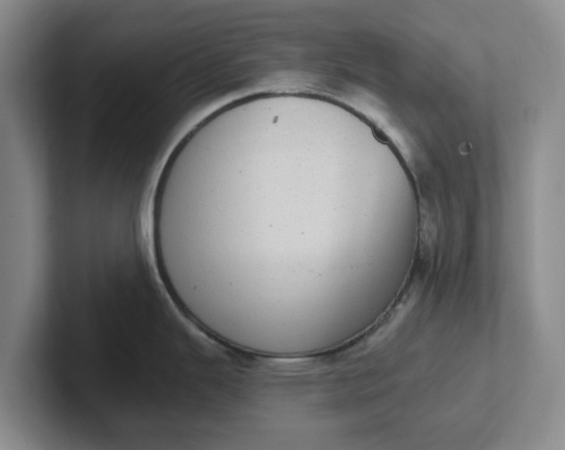 X0000102291343200808081515