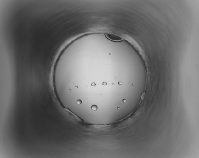 X0000102291344200808081515