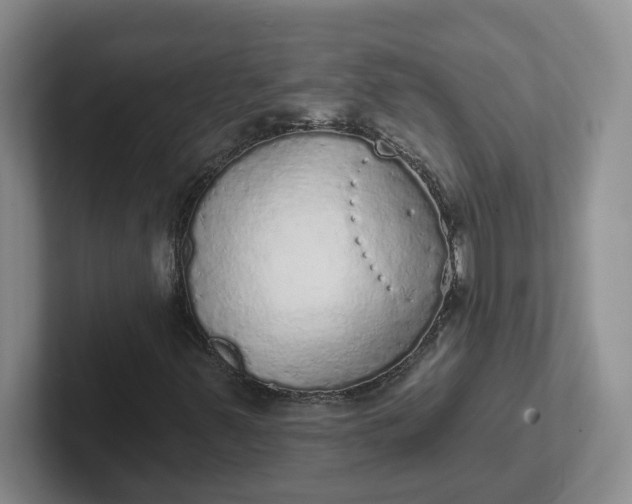 X0000102291347200808081514