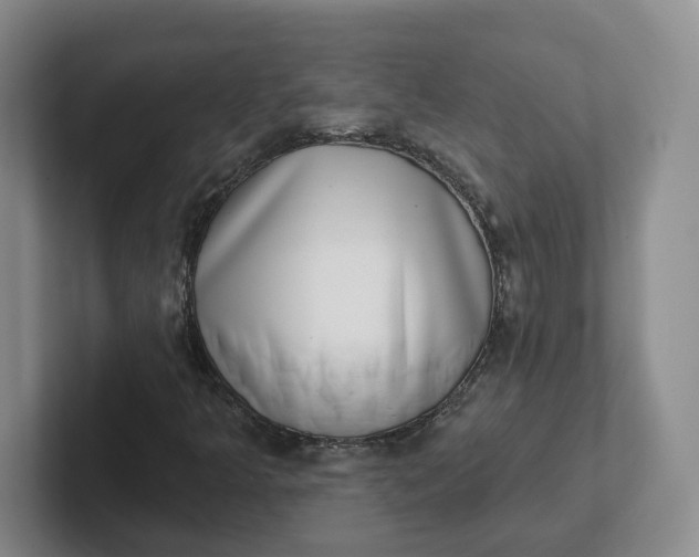 X0000102291349200808081514