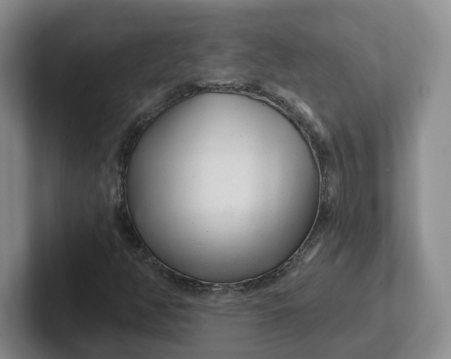 X0000102291350200808081514