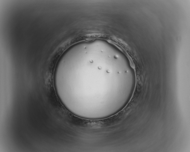 X0000102291351200808081514