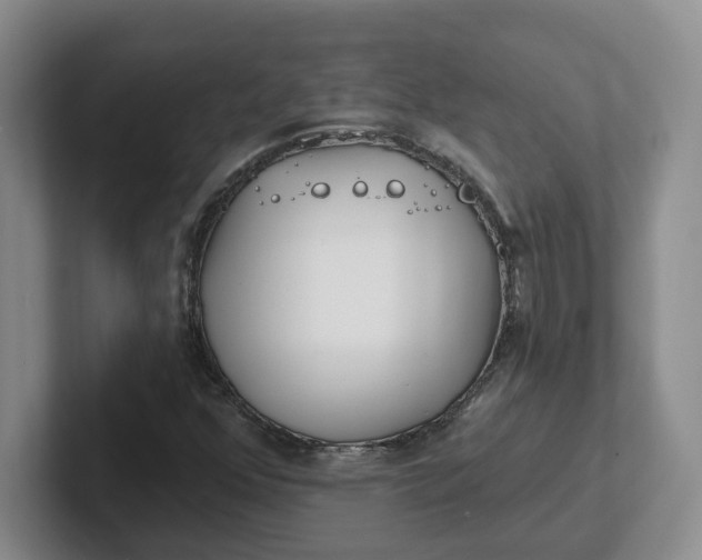 X0000102291352200808081514