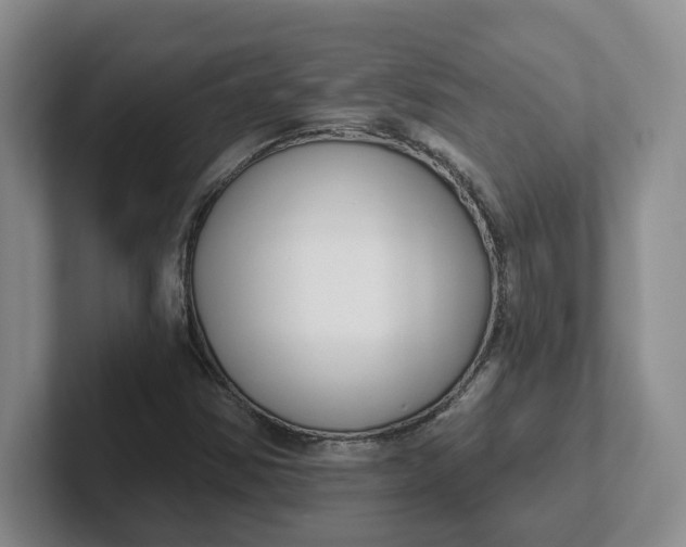 X0000102291354200808081514